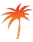 a small palmtree